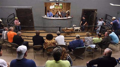 2(d), on November 17, 2014; (2) sold two goats as a cash sale without keeping a record. . Middlesex livestock auction